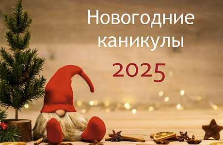 Новогодние каникулы 2025